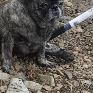 Meet your Posher, Rita